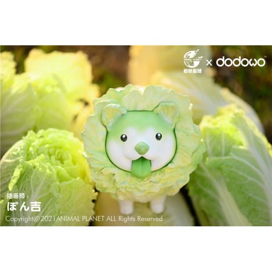 Animal Planet x dodowo Vegetable Fairy - Cabbage Dog