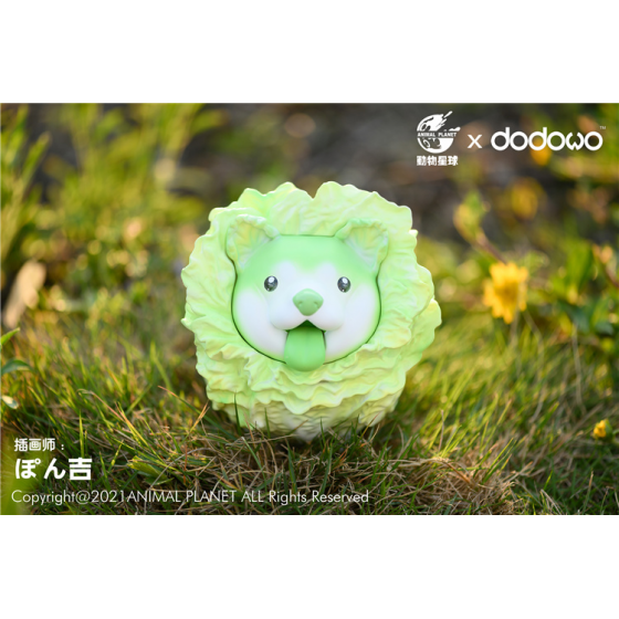 Animal Planet x dodowo Vegetable Fairy - Cabbage Dog