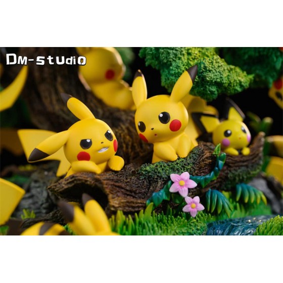 DM Studio Pokémon Pikachu Park