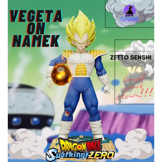 Zetto Senshi 1/4 Vegeta on...