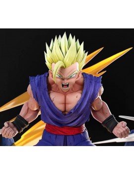 NC Collectibles 1/6 Youth Gohan